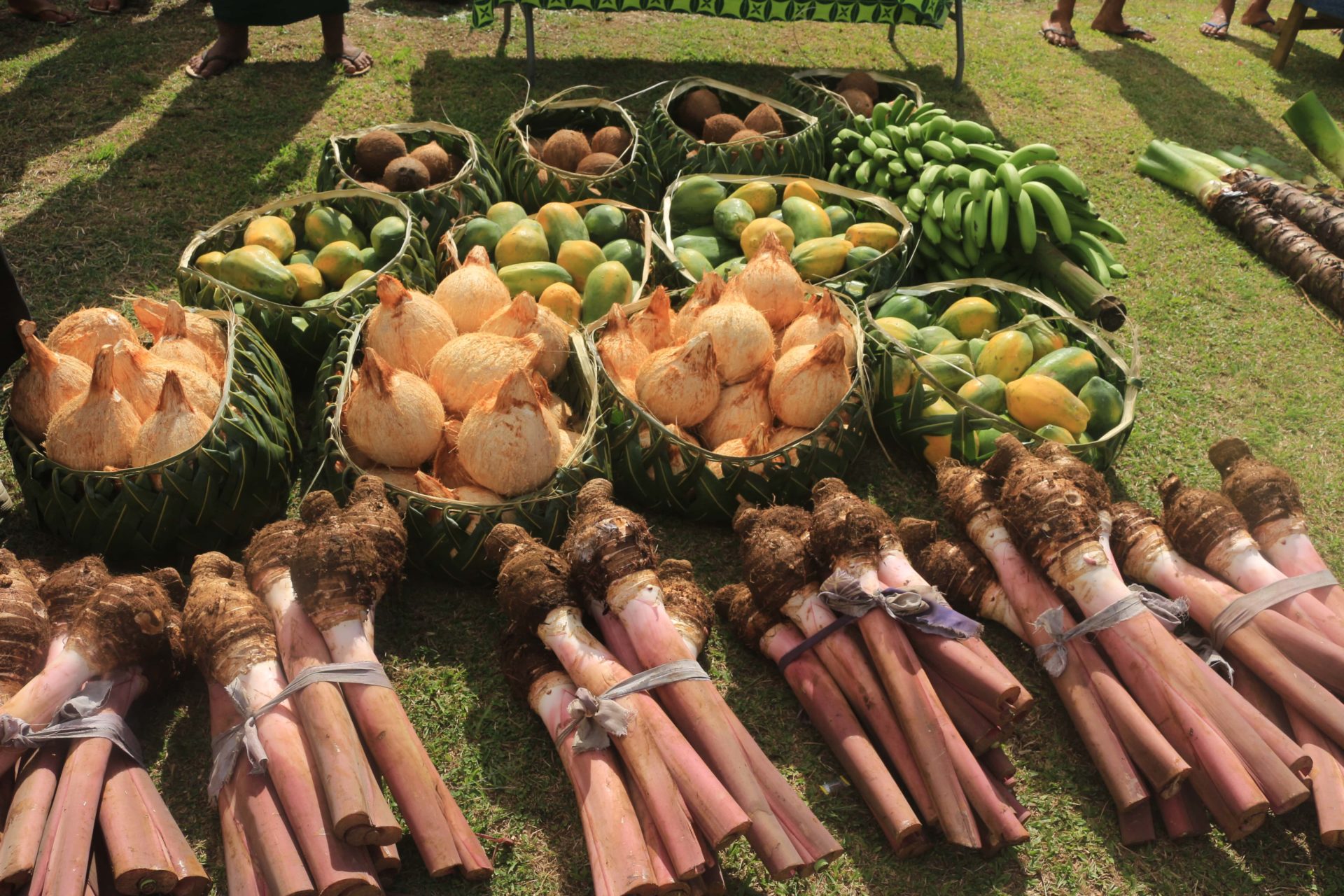 MAF – Ministry of Agriculture & Fisheries